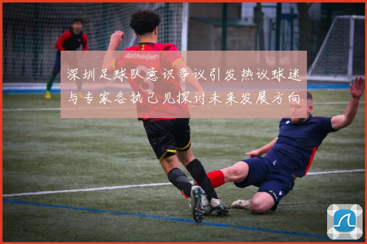 深圳足球队意识争议引发热议球迷与专家各执己见探讨未来发展方向