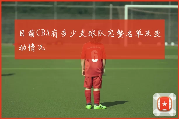 目前CBA有多少支球队完整名单及变动情况