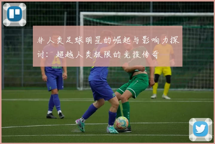 非人类足球明星的崛起与影响力探讨：超越人类极限的竞技传奇