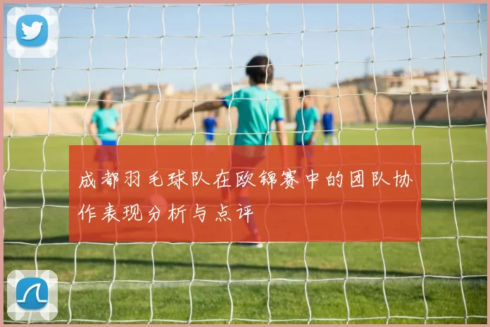成都羽毛球队在欧锦赛中的团队协作表现分析与点评