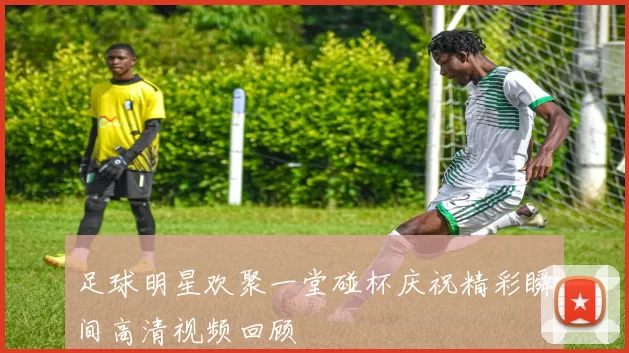 足球明星欢聚一堂碰杯庆祝精彩瞬间高清视频回顾