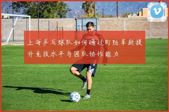 上海乒乓球队如何通过盯防革新提升竞技水平与团队协作能力