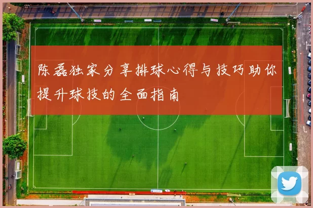 陈磊独家分享排球心得与技巧助你提升球技的全面指南