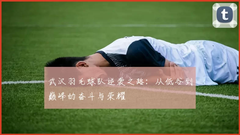 武汉羽毛球队逆袭之路：从低谷到巅峰的奋斗与荣耀