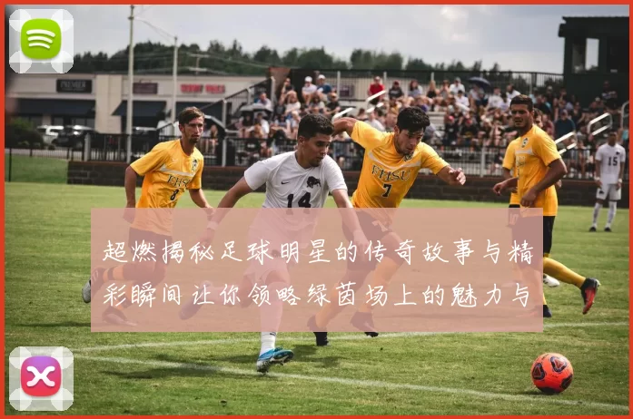 超燃揭秘足球明星的传奇故事与精彩瞬间让你领略绿茵场上的魅力与激情