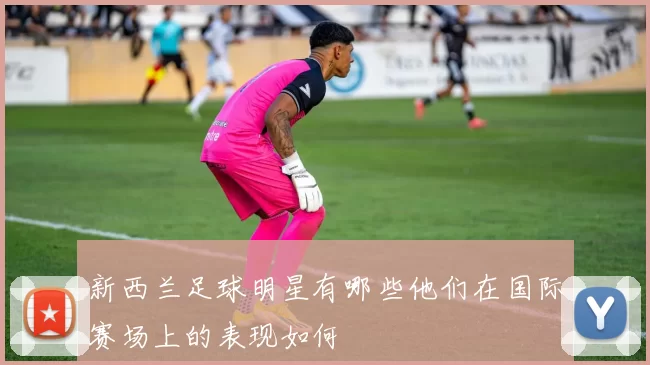 新西兰足球明星有哪些他们在国际赛场上的表现如何