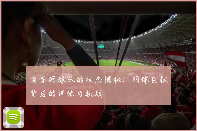 南京网球队的状态揭秘：网球巨献背后的训练与挑战