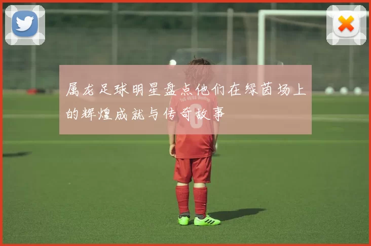 属龙足球明星盘点他们在绿茵场上的辉煌成就与传奇故事