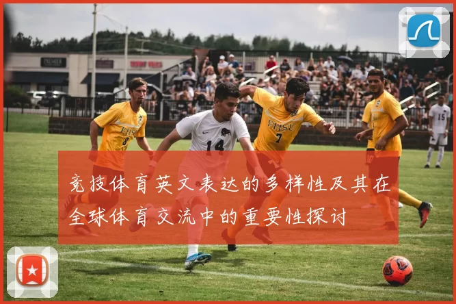 竞技体育英文表达的多样性及其在全球体育交流中的重要性探讨