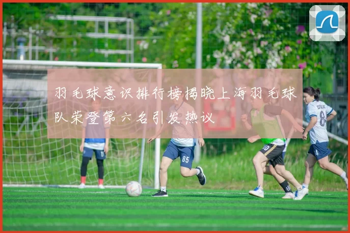 羽毛球意识排行榜揭晓上海羽毛球队荣登第六名引发热议