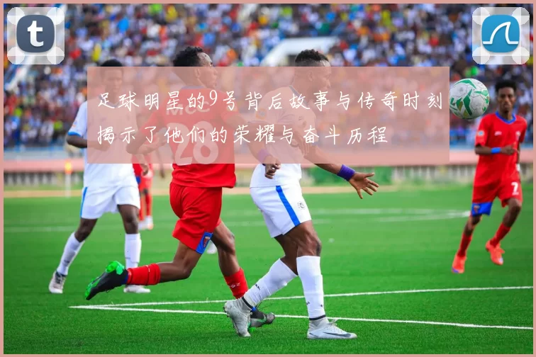 足球明星的9号背后故事与传奇时刻揭示了他们的荣耀与奋斗历程