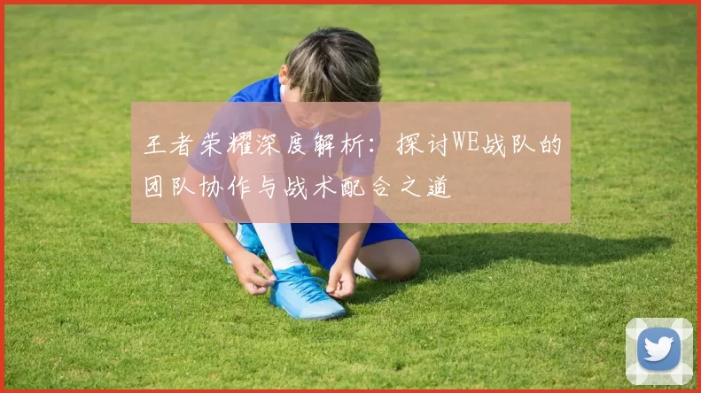 王者荣耀深度解析：探讨WE战队的团队协作与战术配合之道