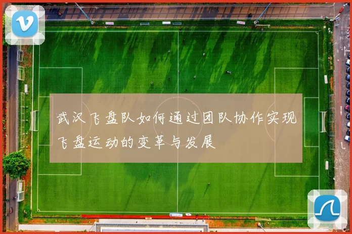武汉飞盘队如何通过团队协作实现飞盘运动的变革与发展