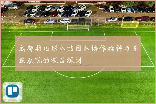 成都羽毛球队的团队协作精神与竞技表现的深度探讨