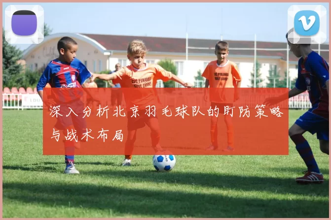 深入分析北京羽毛球队的盯防策略与战术布局