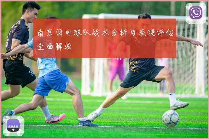南京羽毛球队战术分析与表现评估全面解读