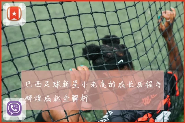 巴西足球新星小老虎的成长历程与辉煌成就全解析