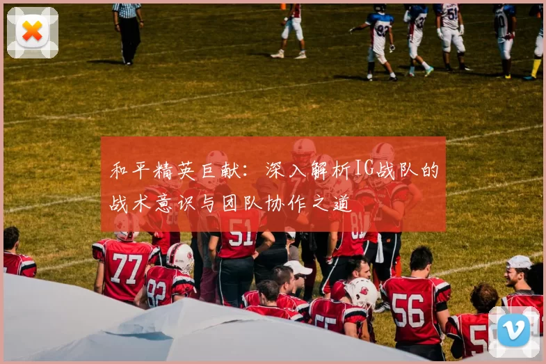 和平精英巨献：深入解析IG战队的战术意识与团队协作之道