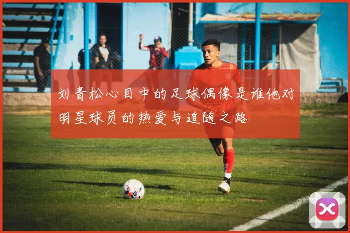刘青松心目中的足球偶像是谁他对明星球员的热爱与追随之路