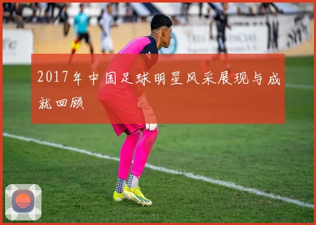 2017年中国足球明星风采展现与成就回顾