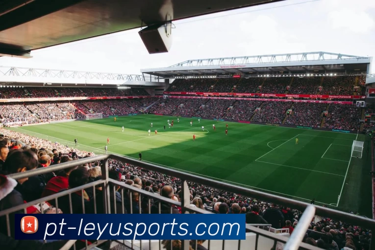 App Interface Preview